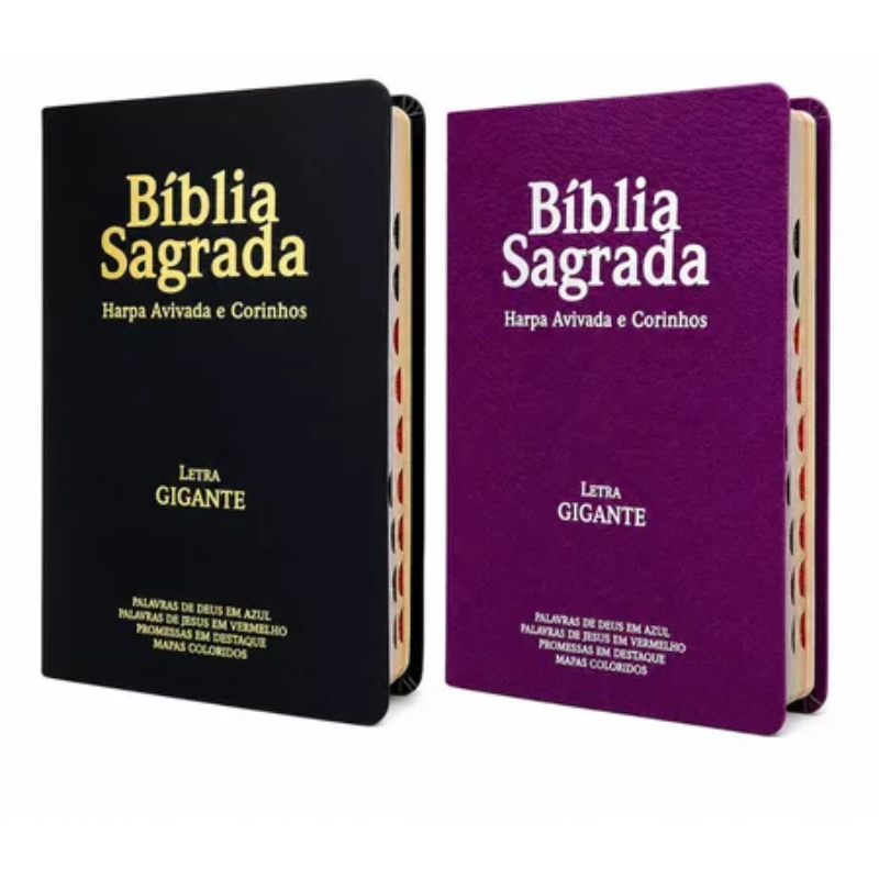 KIT CASAL 2 BÍBLIAS - LETRA GIGANTE