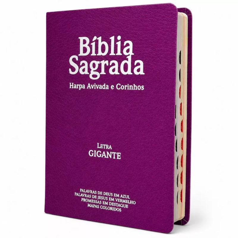 BÍBLIA SAGRADA - LETRA GIGANTE COR ROSA